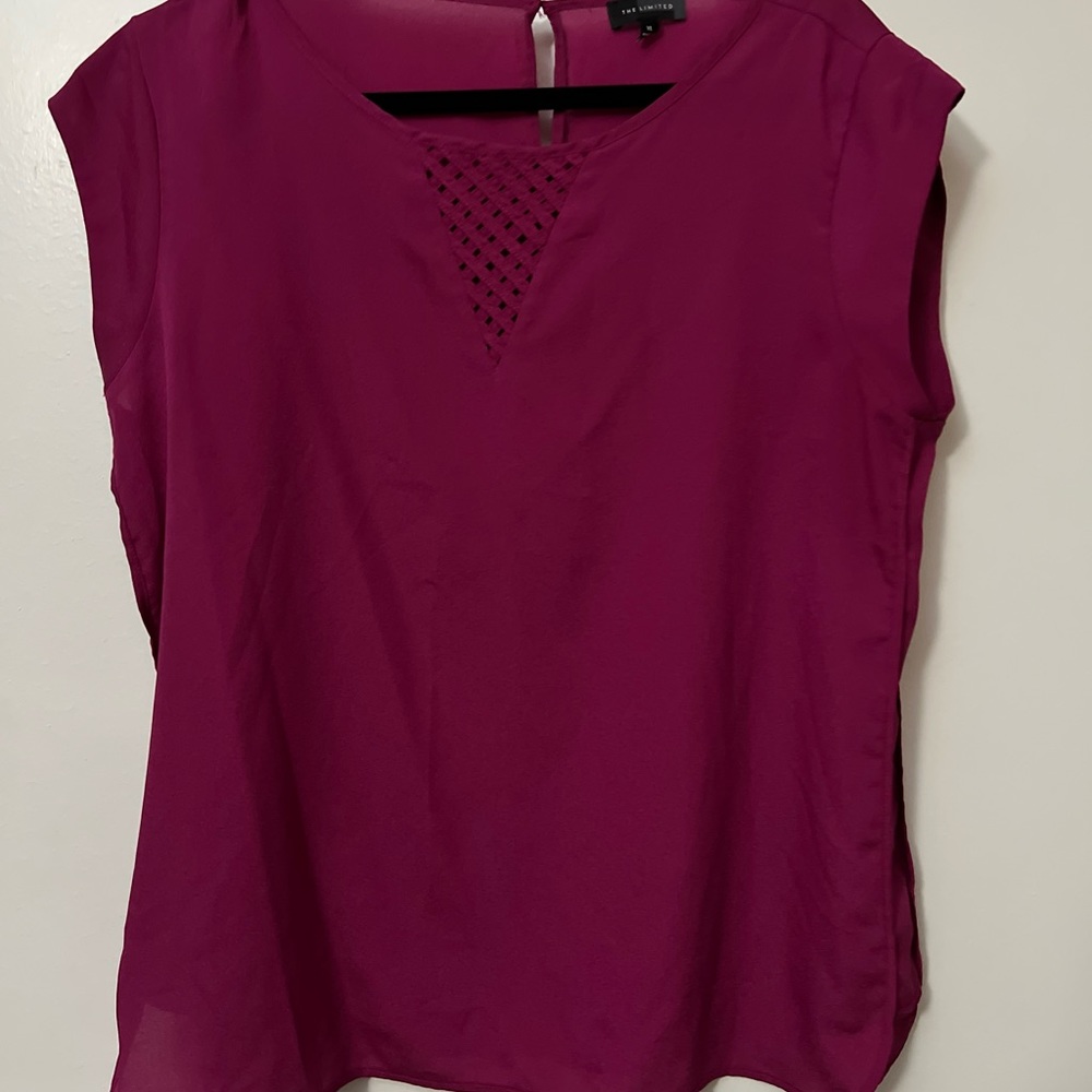 The Limited Hot pink top